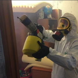 Уничтожение клопов в квартире. Западное Дегунино